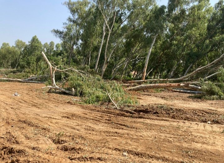 AbdullahMKahn's tweet photo. #CDA has started the construction of bypass on QAU land without seeking due permission. A total disregard for "Environment" and educational  institution. #ThisIsOccupation https://t.co/fUPmVRff3m