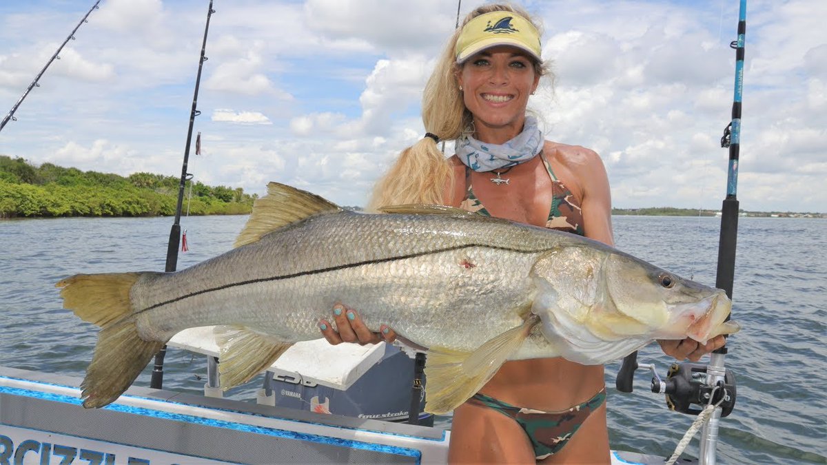 CanFlyFishing1's tweet photo. rod selection is a most important part of fishing . if you dont have a good fishing rod you cant catch fishes . that is not fair to your fishing experiene. read more to click here https://t.co/t7S8CWpPB4

#fishing #flyfishing #fishingrod #FishingGirls https://t.co/wHjDp7kXgf
