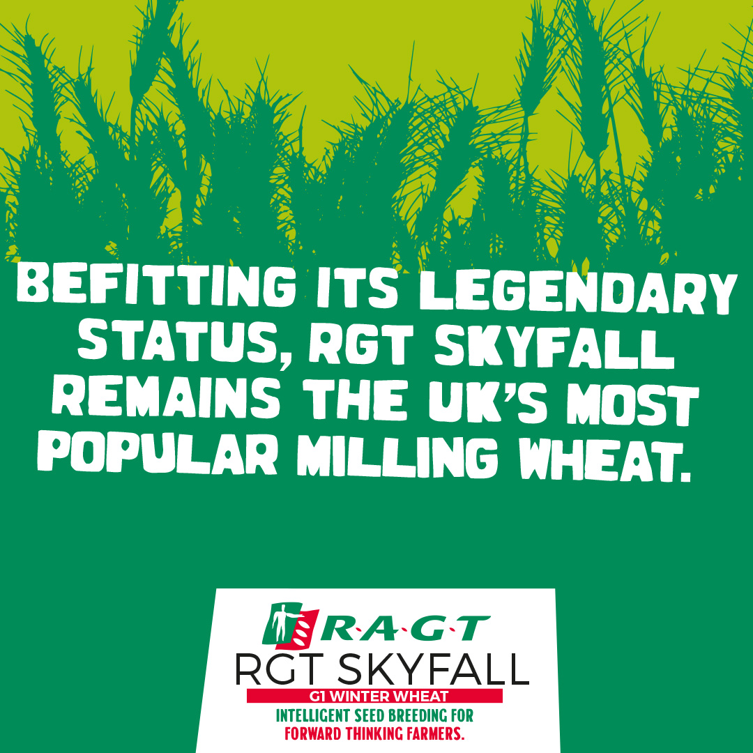 ragtseedsuk's tweet photo. Why has RGT Skyfall remained a firm favourite for many growers?
📅 Widest sowing window of any variety.
🌾 Only Group 1 winter wheat with OWBM.
💪 Best straw strength of any quality wheat.
Discover more: https://t.co/prH6cIMlIl
#skyfall #skyfallwheat #rgtskyfall #ragt https://t.co/tGc2QR8U7j