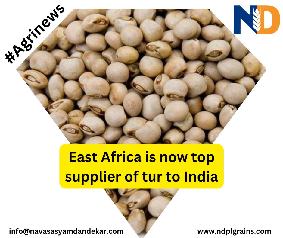 Ndplgrains's tweet photo. #Agrinews
The East African pigeon pea (tur/arhar) producing block of countries, including Tanzania and Mozambique, have emerged as the largest supplier of the pulses variety to the India n market in recent years, displacing the traditional supplier Myanmar.
#india #tuvar #arhar https://t.co/5ZxQXmZWtK