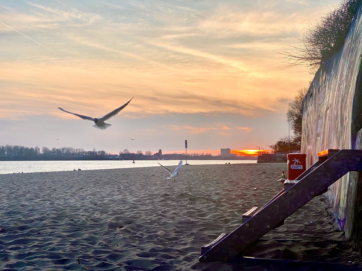 PortofHamburg's tweet photo. Ab ins Wochenende - der Hamburger Hafen wünscht einen schönen Freitag und einen guten Start in die Herbstferien!
Lasst uns auf dem Heimweg vom Büro ein paar Sonnenstrahlen einfangen! ⚓️🌇
📷 HHM / Breitenbach
#portofhamburg #hafenhamburg #hamburg #portview #elbstrand #elbe https://t.co/eH9HcjT91b