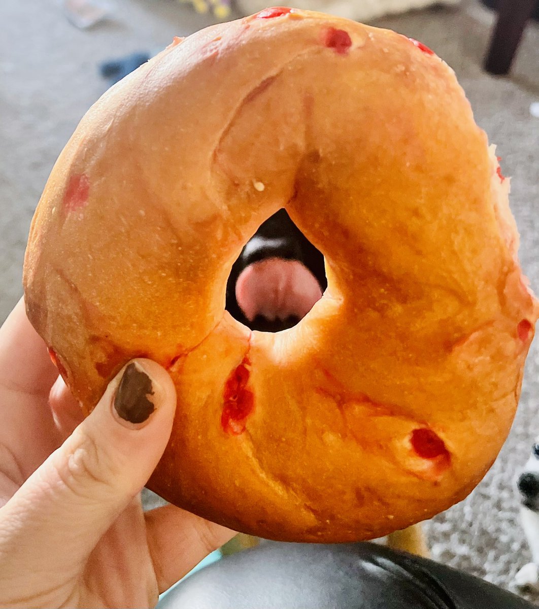 Insteadofpaint's tweet photo. When someone wants your breakfast, this is what you see…👅 https://t.co/7bUeUiYHxI