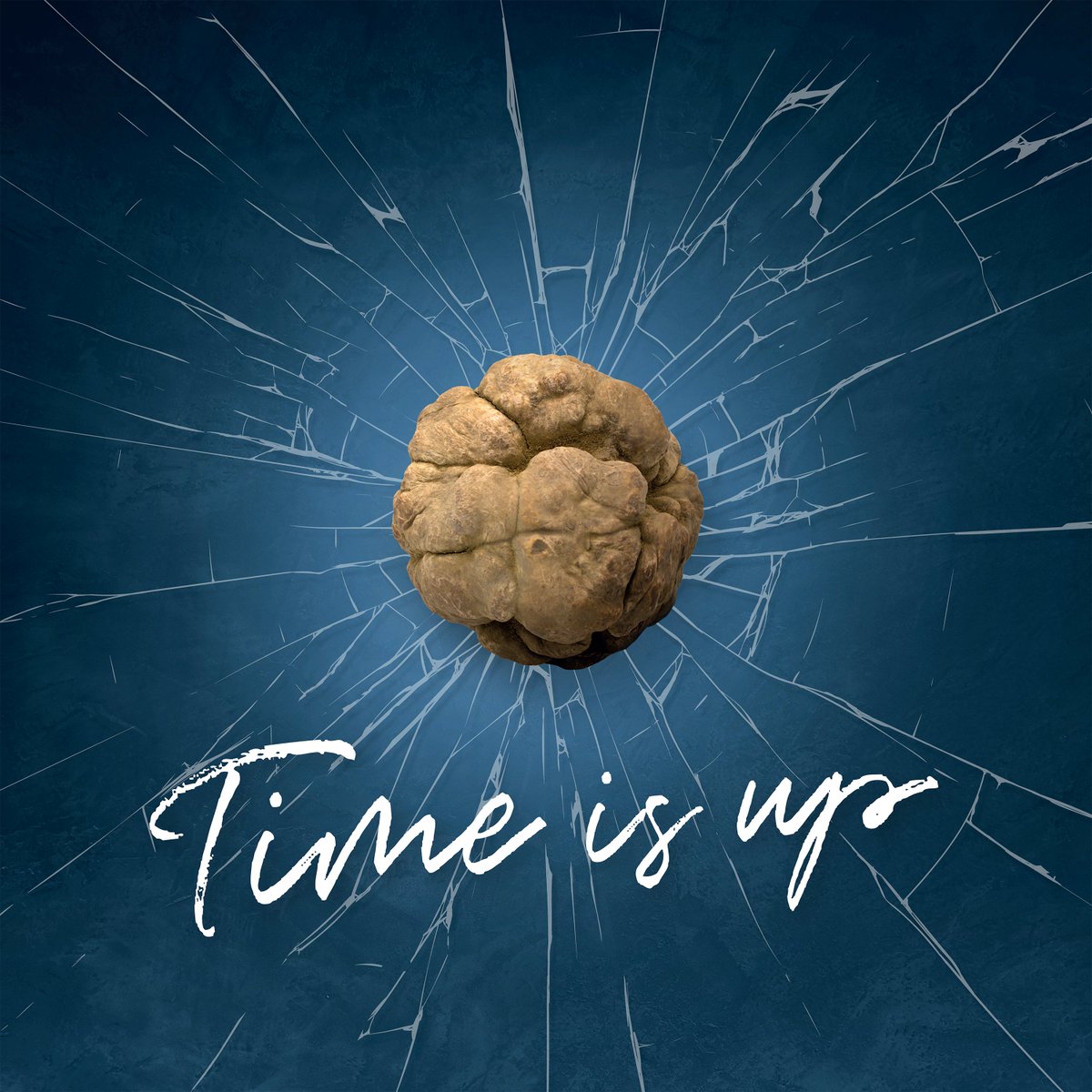 BlulabNet's tweet image. Tɪᴍᴇ ɪs Uᴘ
Visual Design, Branding, Content Strategy per @AlbaTruffle. Il legame che ci unisce all’evento principe dell’Autunno in Langa si rinnova: orgogliosi di aver partecipato alla promozione del territorio che amiamo. 

Blulab, dal 1999 web, eCommerce, comunicazione.