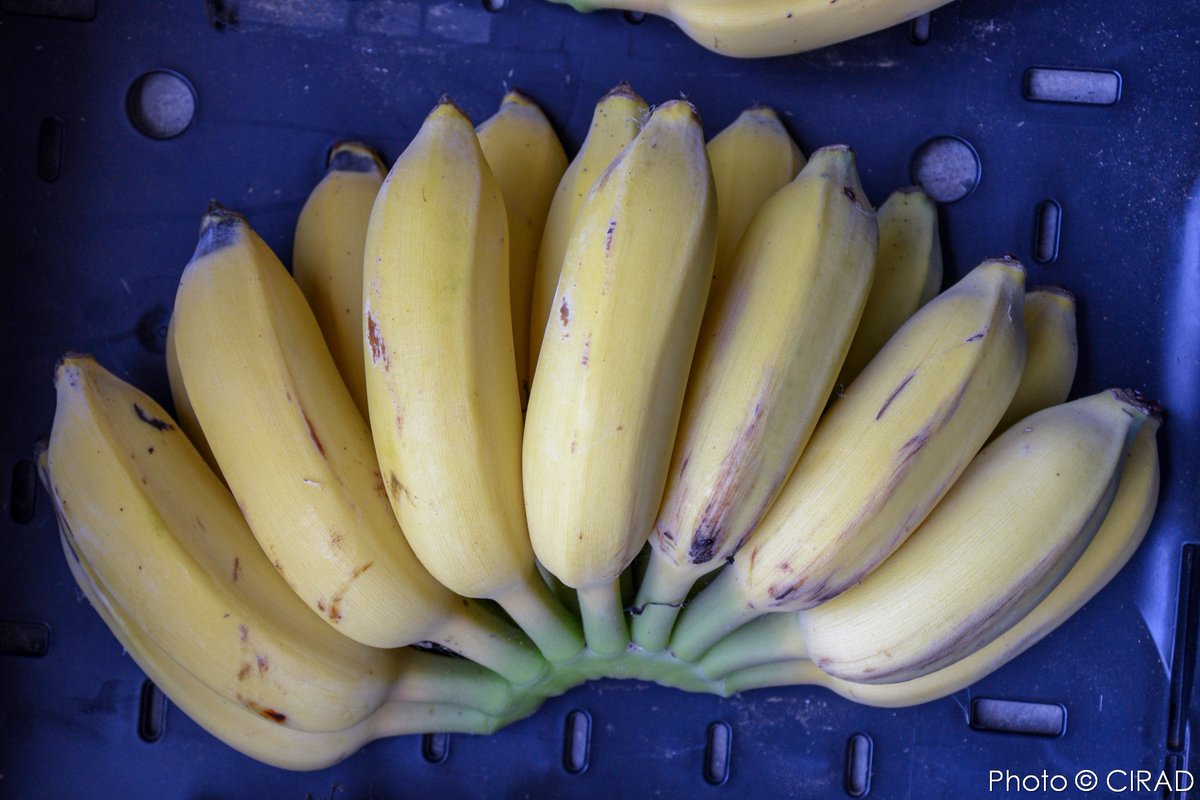 Christophe Jenny tweet media