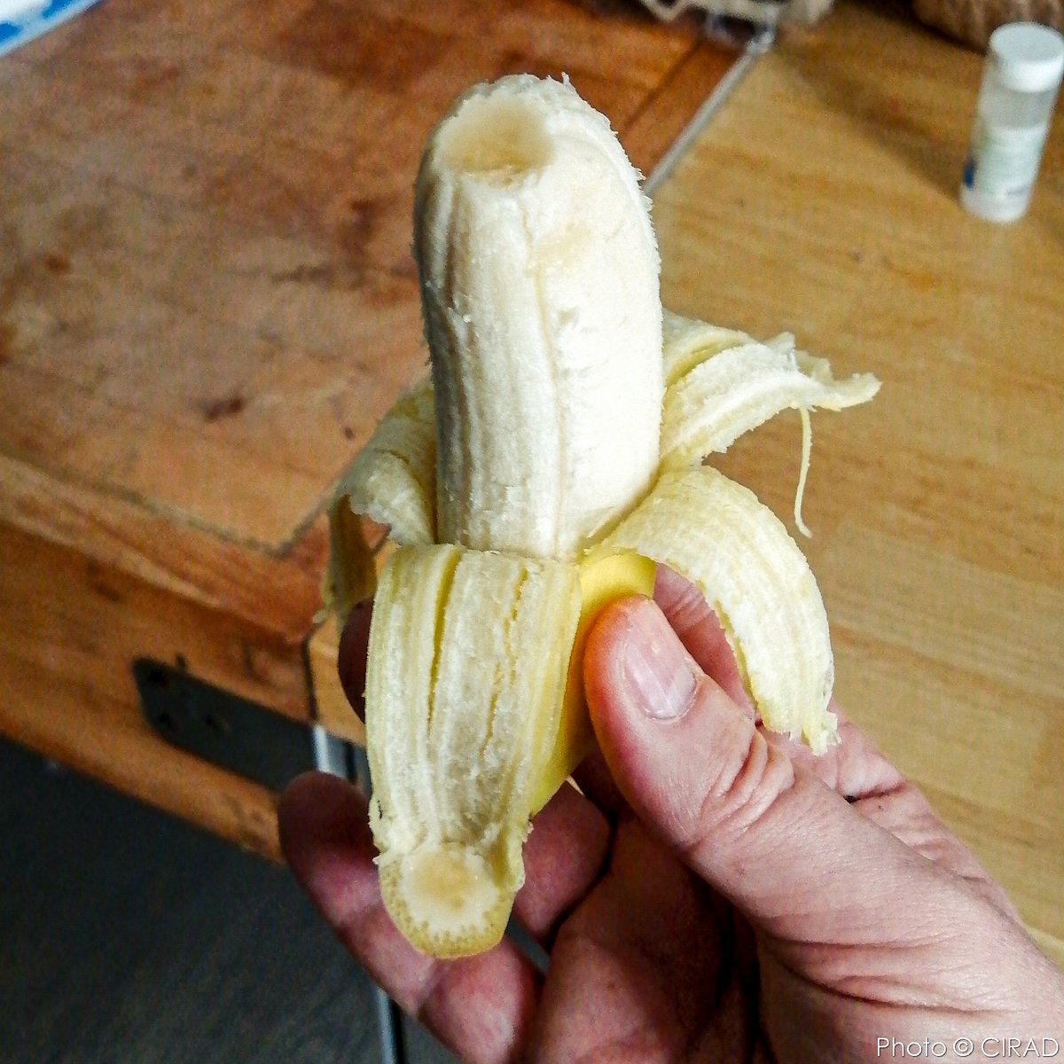 Christophe Jenny tweet media