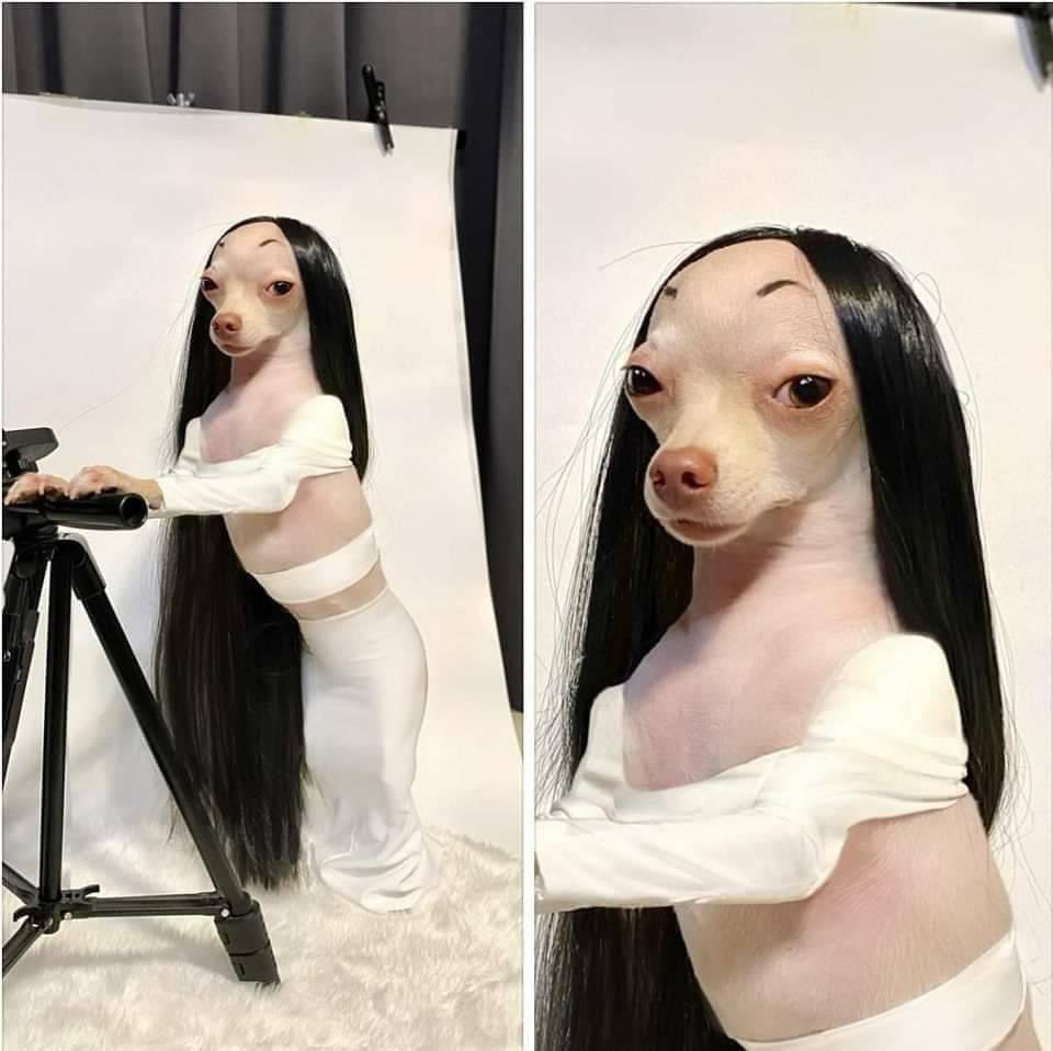 This is what light skin gurls be looking like with weave 🤣🤣🥴🥴