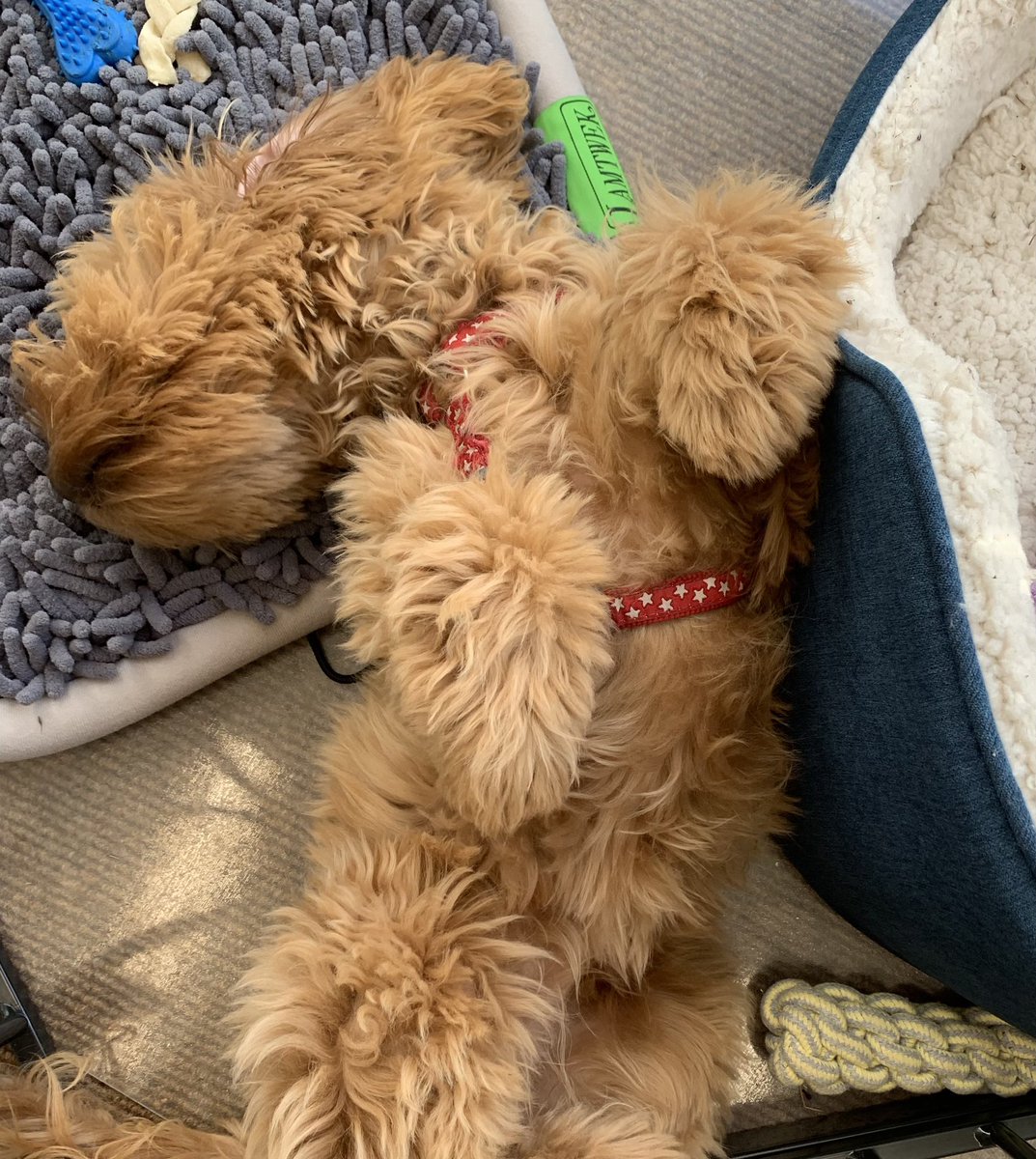 It’s been a busy week! @PSHeadSutton @SuttonHighGirls