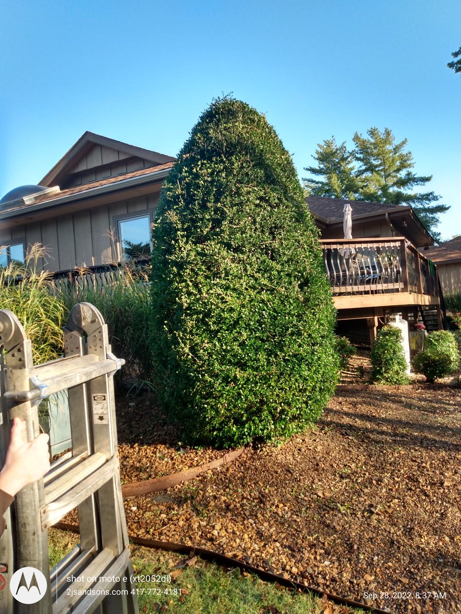 2Jsandsons_lawn's tweet image. Time for a fall trim.
#landscaping #lawncare #hedgetrim #gardening #FridayFeeling
