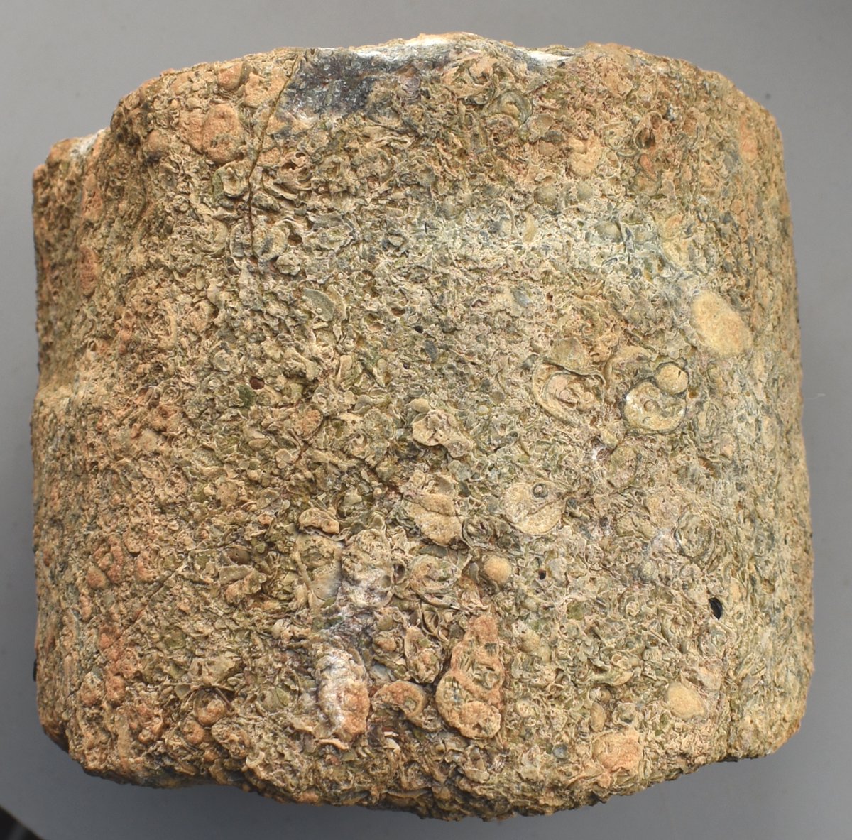 ifa_archives's tweet photo. For the final #ArchiveBox at @CATRomanCircus we have this amazing piece of Purbeck Marble column! Happy weekend everyone👀
@ARAScot https://t.co/sF5nnDZZVa