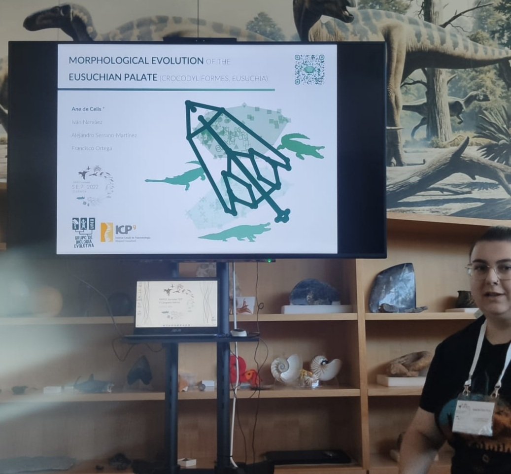 Ya hemos presentado parte de los resultados obtenidos a partir del análisis morfogeométrico del paladar de cocodrilos eusuquios en la #SEPCuenca22 🐊