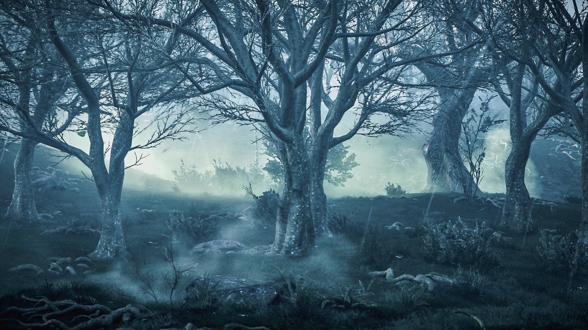 jules_vp_'s tweet photo. Assassins Creed Valhalla
#TCCForests https://t.co/YwhZeVt3Ej