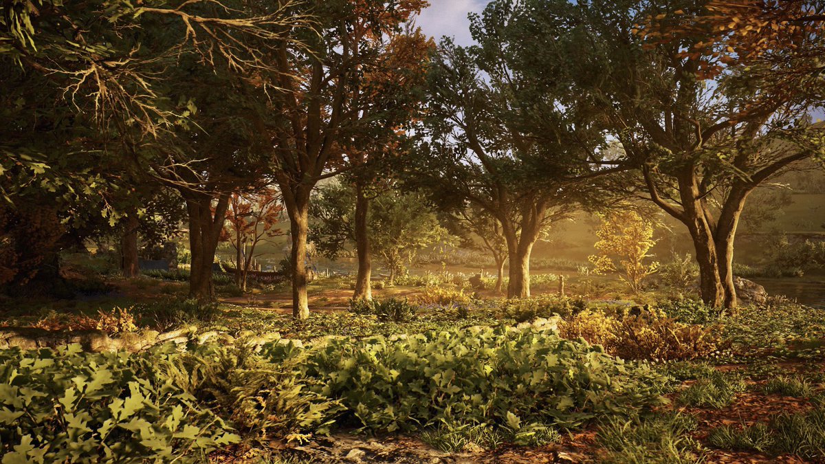jules_vp_'s tweet photo. Assassins Creed Valhalla
#TCCForests https://t.co/YwhZeVt3Ej