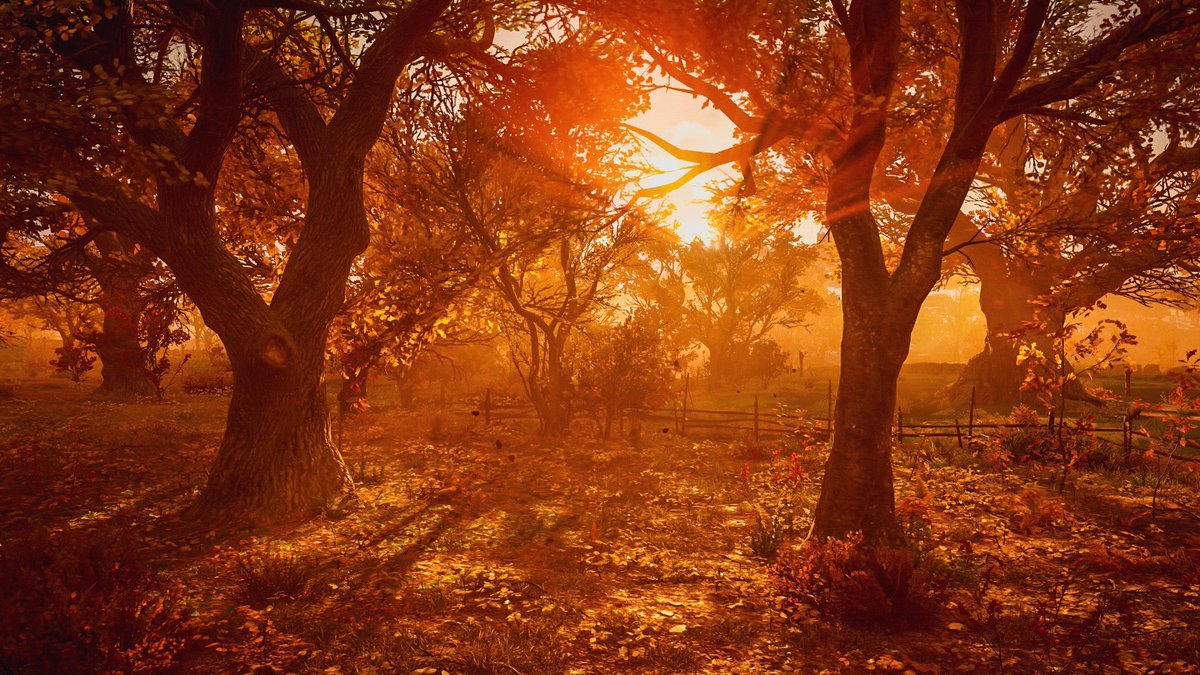 jules_vp_'s tweet photo. Assassins Creed Valhalla
#TCCForests https://t.co/YwhZeVt3Ej