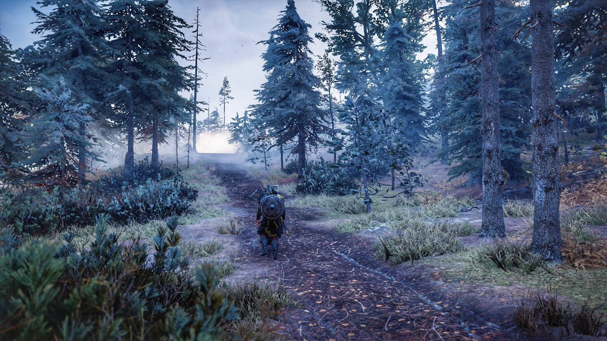 jules_vp_'s tweet photo. Assassins Creed Valhalla
#TCCForests https://t.co/YwhZeVt3Ej