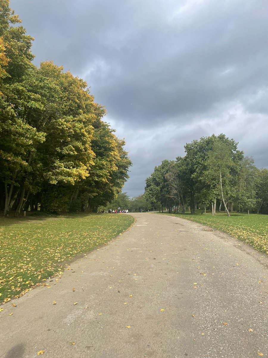 Iona McLeod tweet media