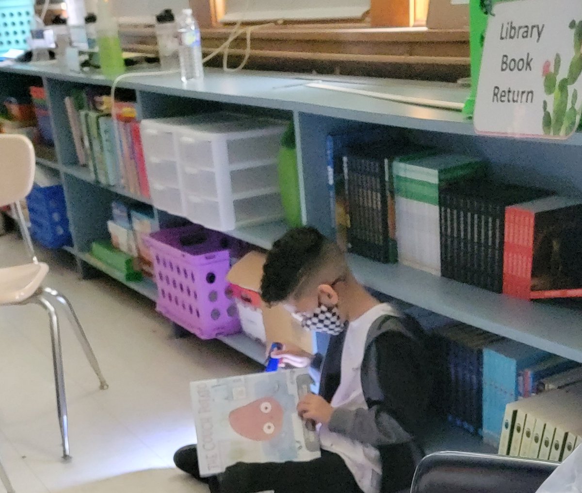 Elizabeth Schell tweet media