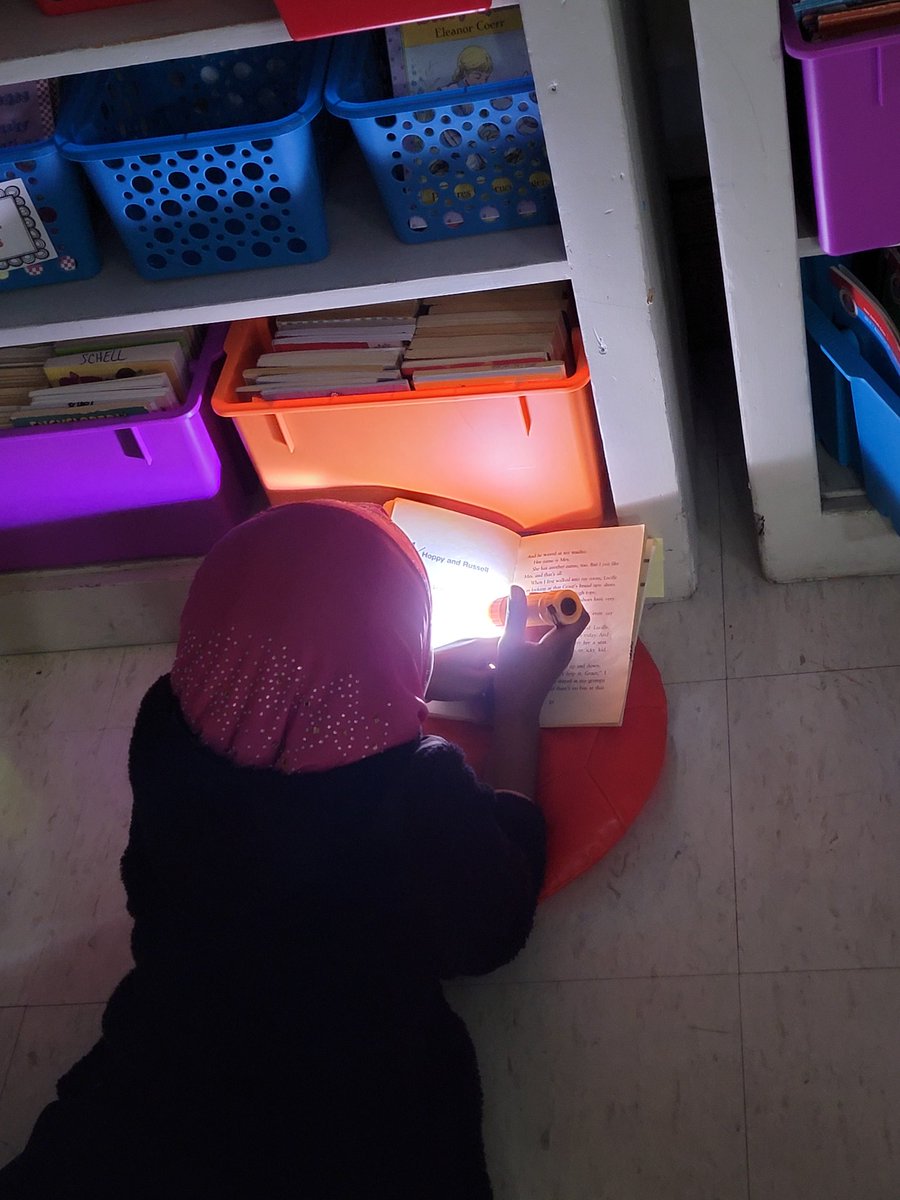 Elizabeth Schell tweet media