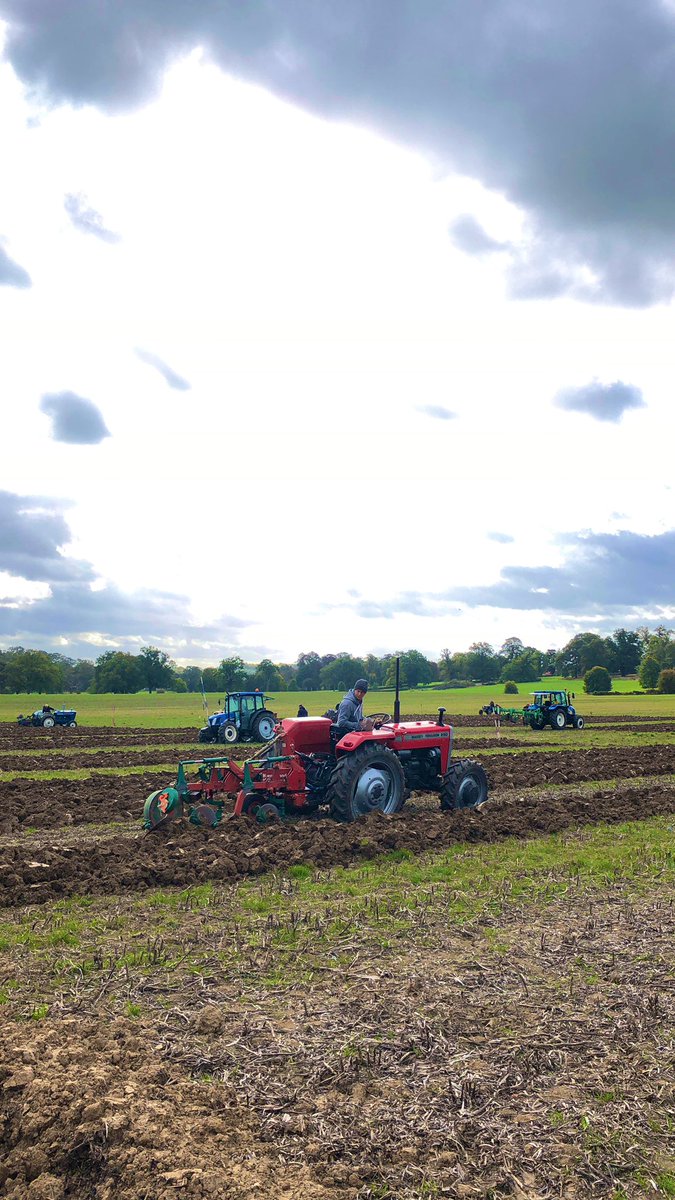 RaynerIzzy's tweet image. Lots of ploughing matches 🚜 🐎 this week with great turn outs of competitors and spectators: firstly the Royal Forest Agri Ass ploughing match held at the Royal Farms, WIndsor; then the 177th Royal South Bucks Agri Ass (RSBAA) ploughing match and show. #ploughingmatch