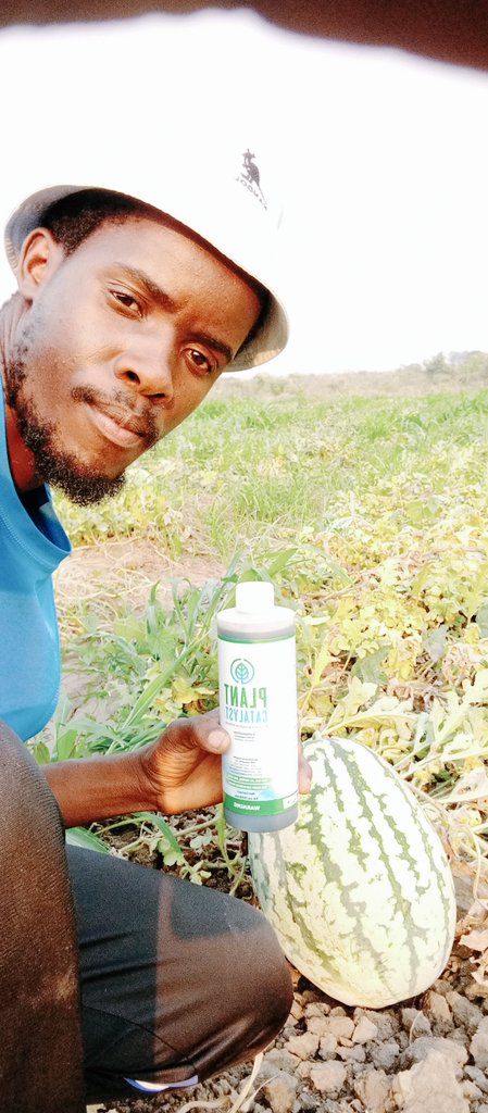 OwenLifeAtFarm's tweet photo. #Plantcatalyst more powers https://t.co/w9VgqWS58f