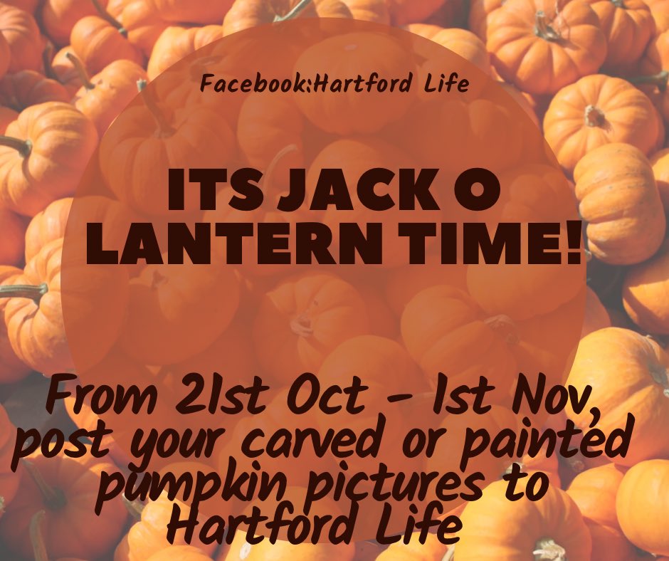 #Halloween2022 #hartford #pumpkins