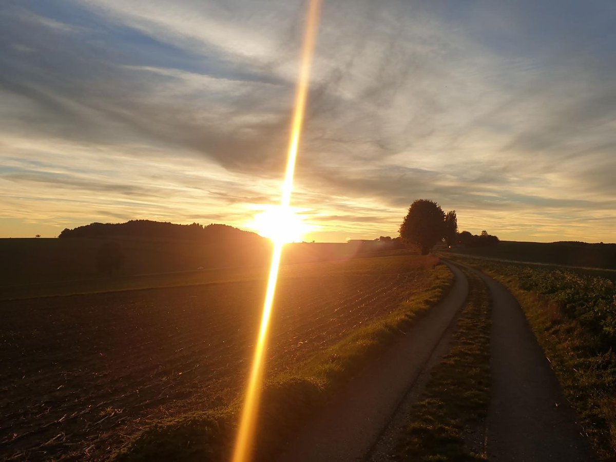 KlimaAfterWork tweet media