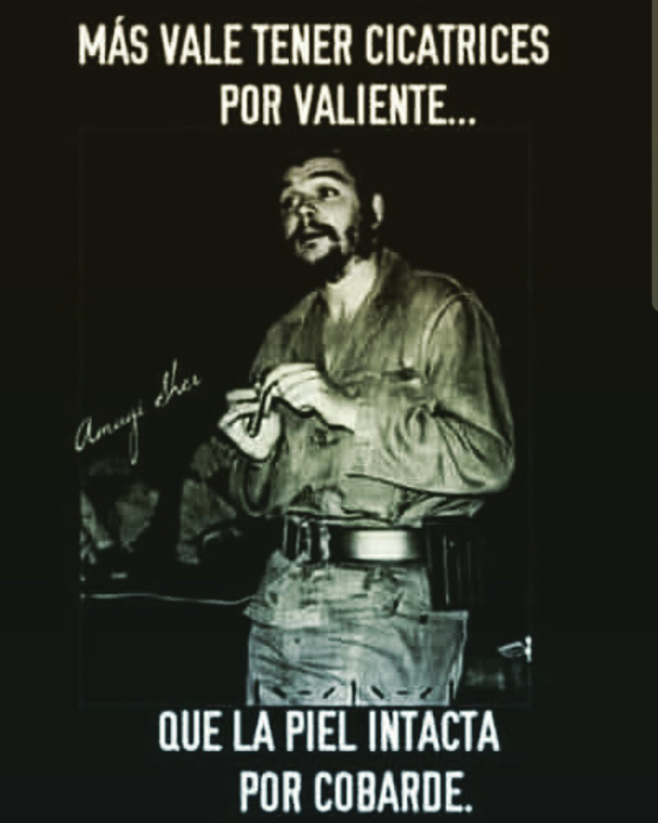 Rober Noa Frómeta tweet media