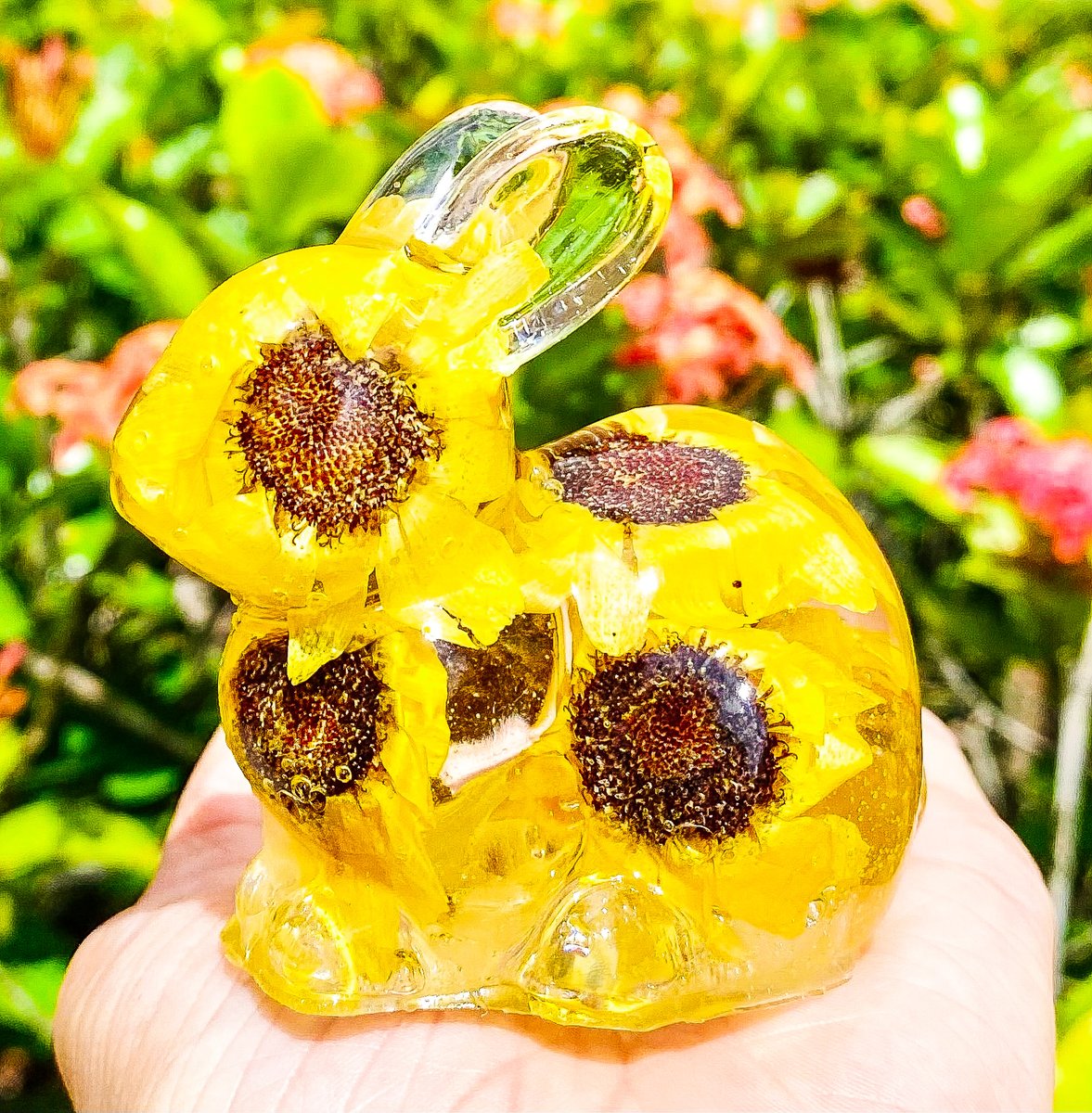 Sunflower Bunny 🌻🌻