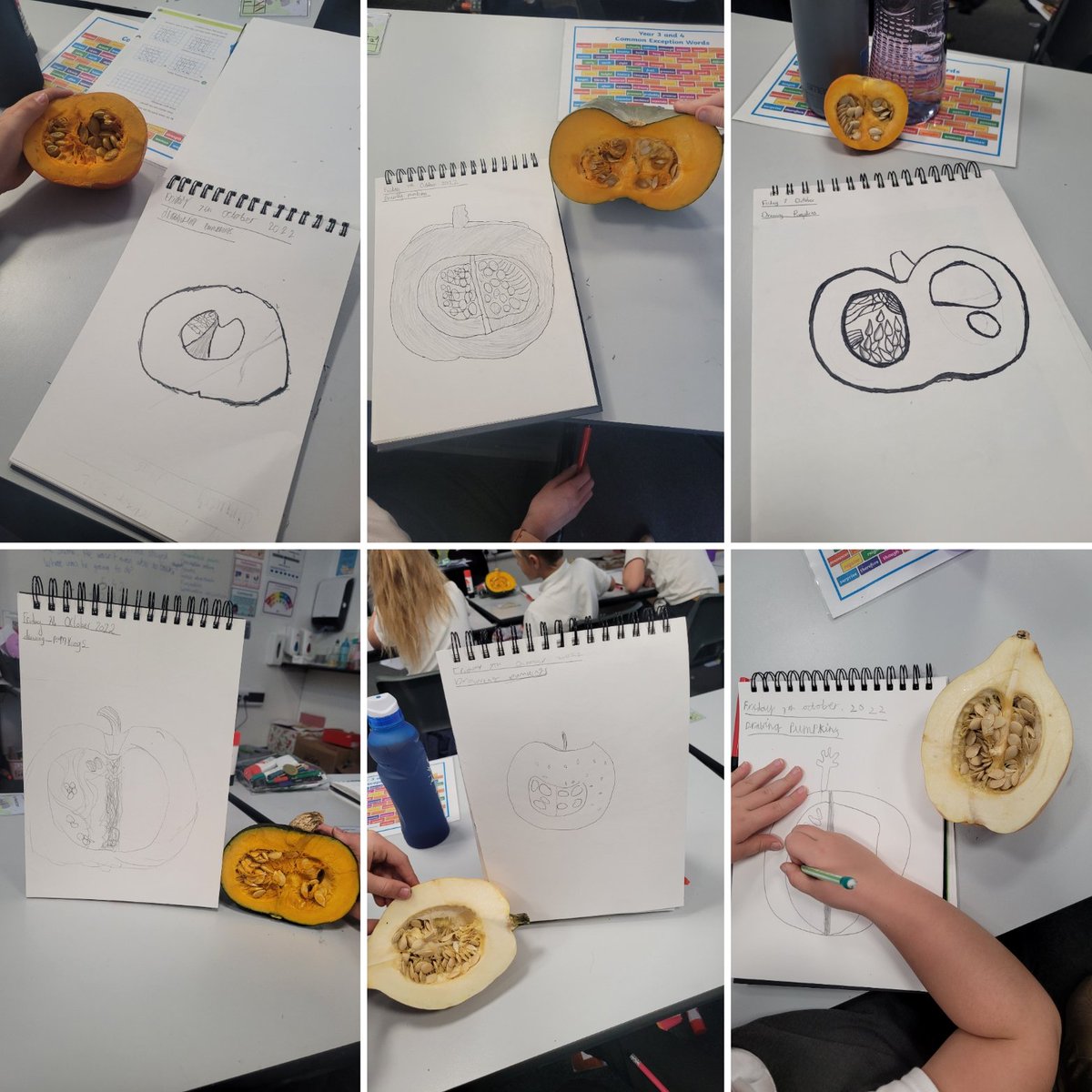 Harts_Y4's tweet photo. This week, we have been focusing on 'lines, pattern, texture and shape' during our Art lesson, (we also discovered pumpkins can be quite smelly!) #hha #hhaart #hhay4 @hartsholmeacad @HarbourLearning https://t.co/sVadAzglZS
