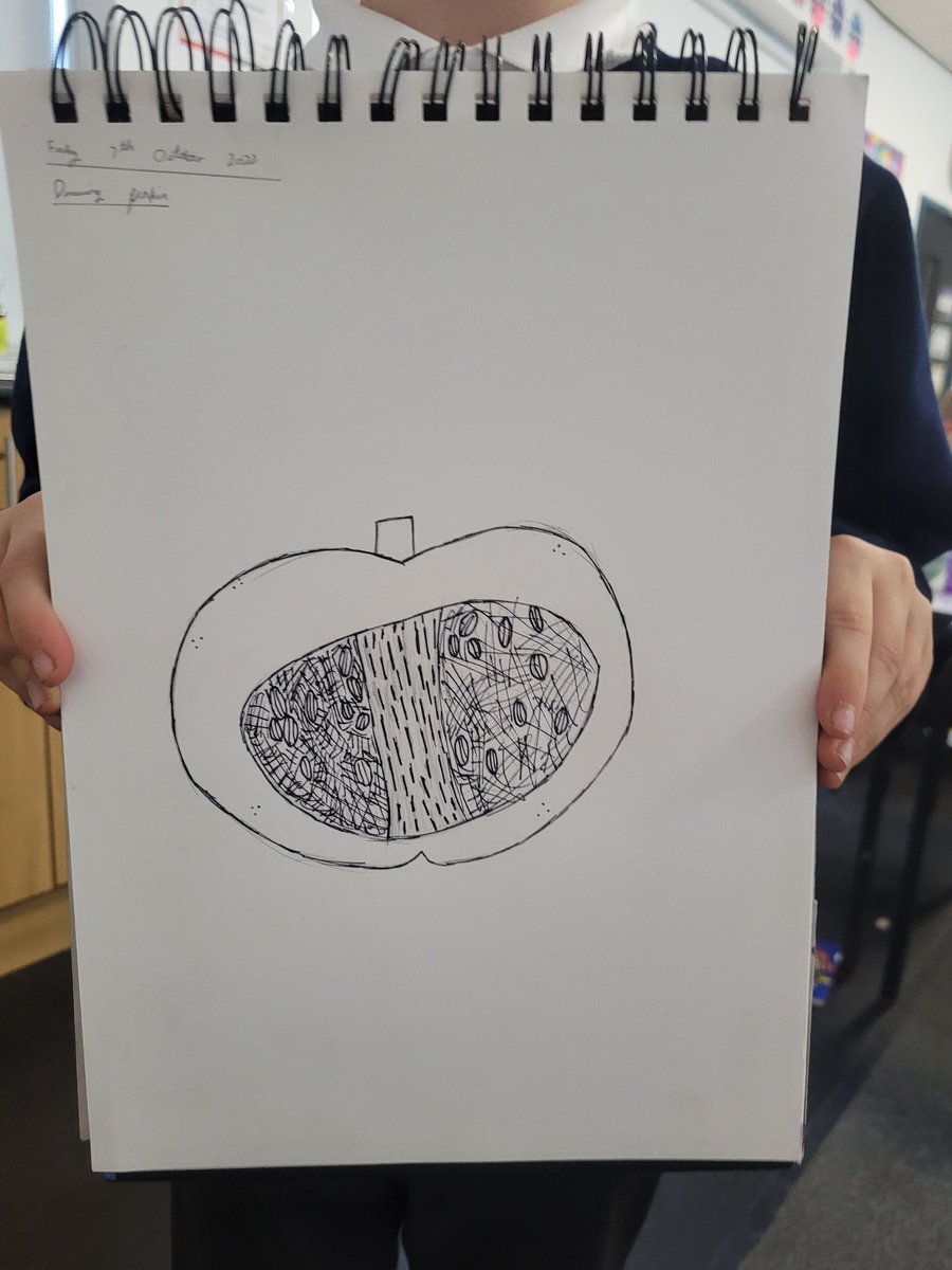 Harts_Y4's tweet photo. This week, we have been focusing on 'lines, pattern, texture and shape' during our Art lesson, (we also discovered pumpkins can be quite smelly!) #hha #hhaart #hhay4 @hartsholmeacad @HarbourLearning https://t.co/sVadAzglZS