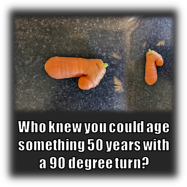 surpriseddh's tweet photo. Let's face it guys, this is just too close to the truth! 😖🤣
#pareidolia #carrots #iseethings #doyouseewhatisee #whatdoyoumeanyoudontseeit #lol https://t.co/rojAlsoLYU