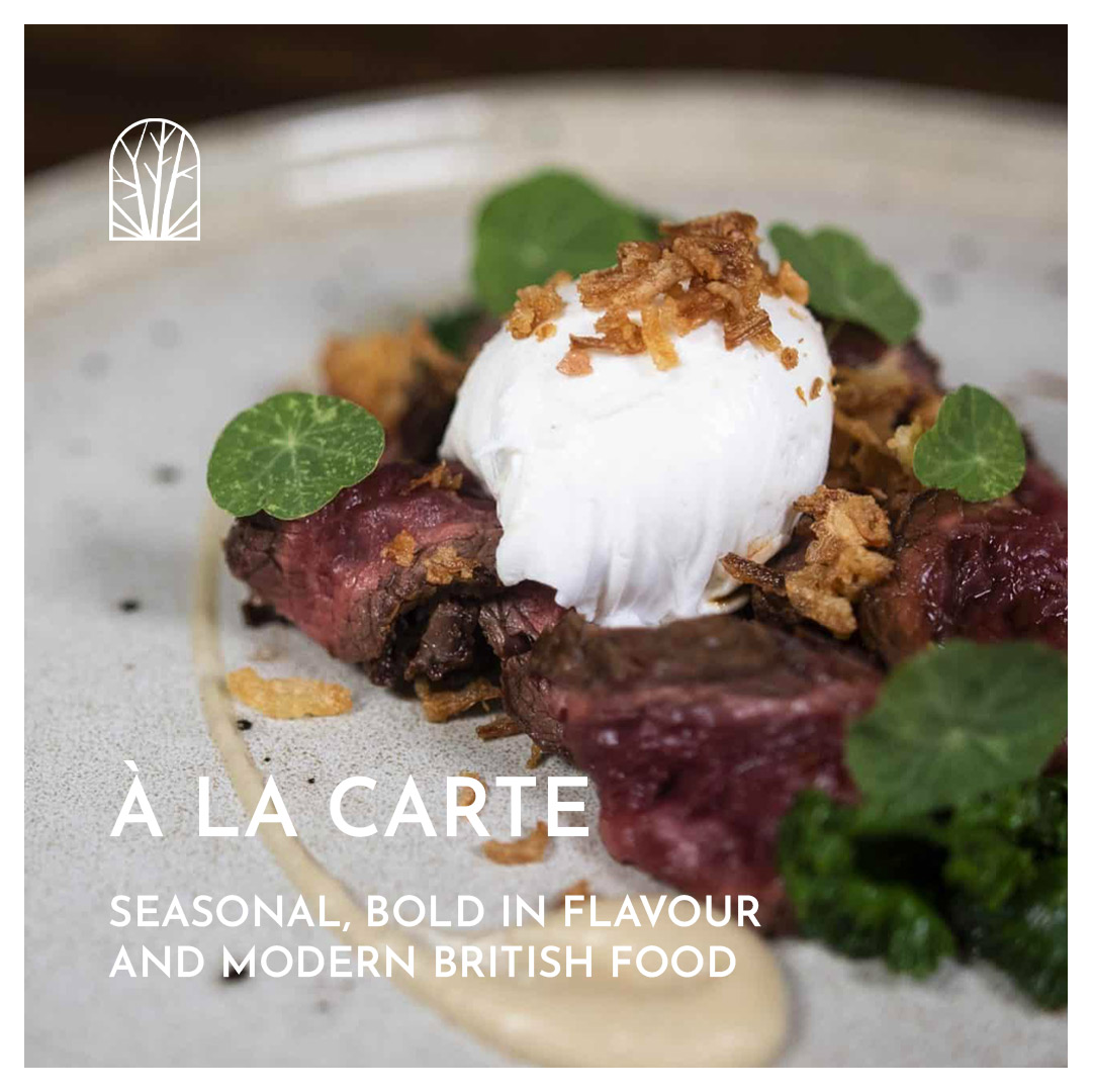 ForestHotel's tweet photo. Let Us Do the Cooking.
Explore our updated menu inclusive of pub classics, such as fish and chips, burgers, the famous chicken wings and much more. All the dishes you love, crafted to make your visit exceptional. https://t.co/gMqeCtP5w6