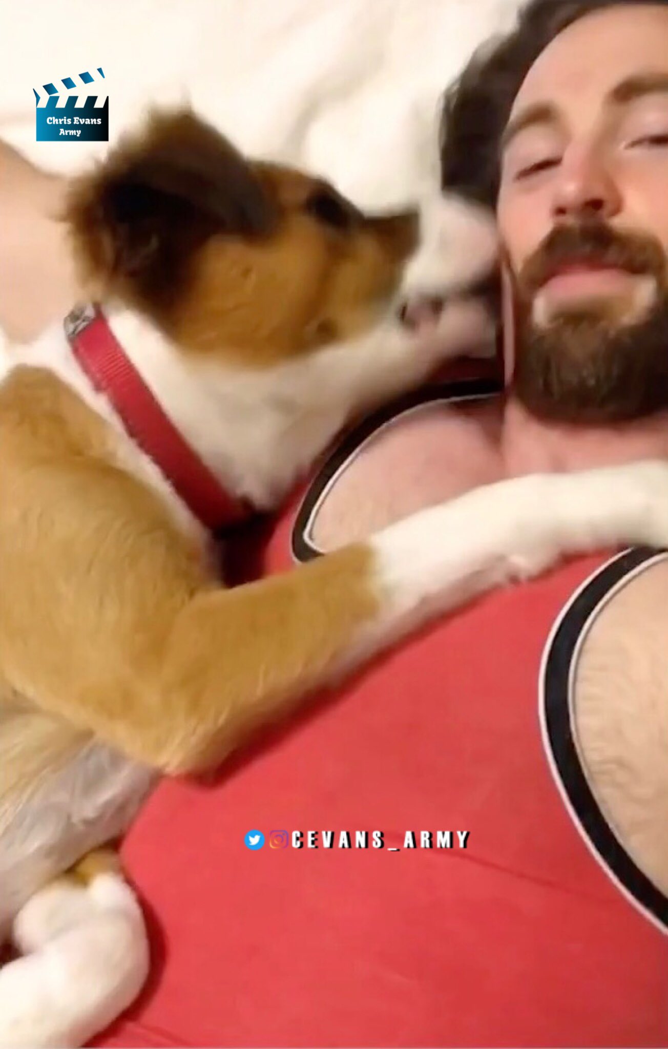 Chris Evans Army on Twitter "⭐️Screenshots do Comercial da Jinx. 