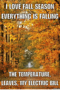 AirOnDemand's tweet photo. Happy #FridayFunday! 😂 Can't beat that! 🍂 Raise your hand if you love fall! ✋ https://t.co/kRjvGwwwU0