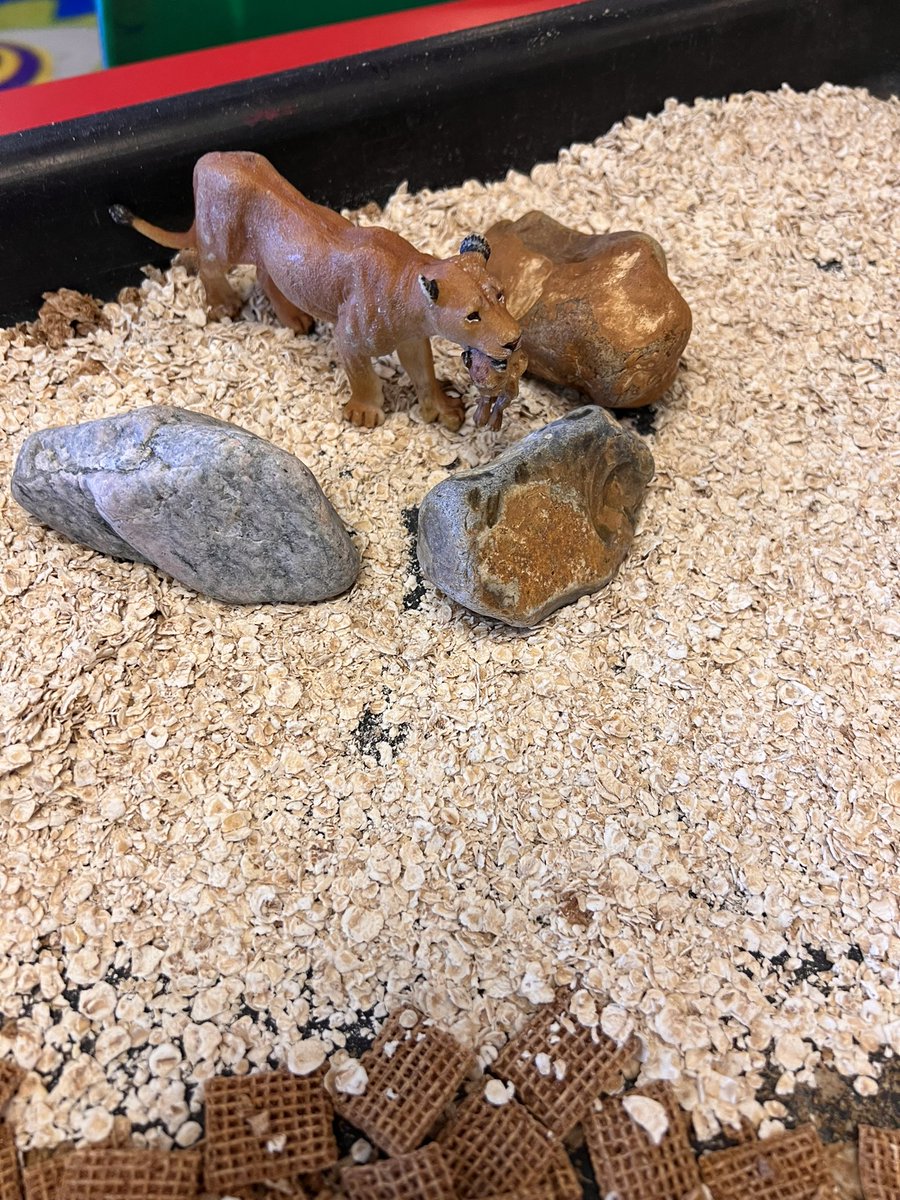 AiyeshaTaylor tweet media