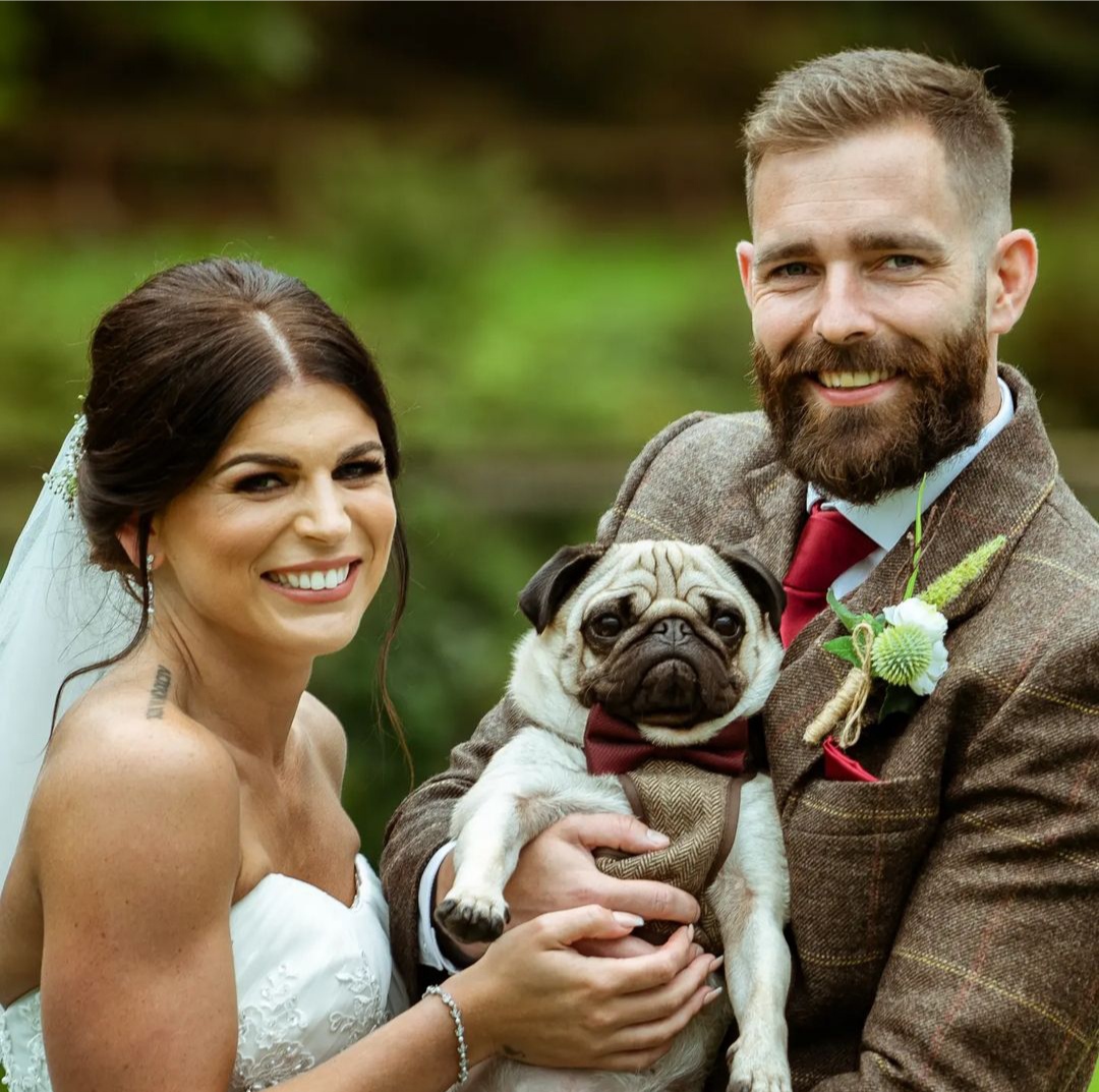 PUGLoversWorld1's tweet photo. Best day of our life..🥰🥰
Proud #pug 
#pugs #puglife #lunaFreaks #fridaymorning #lana https://t.co/C0ql5PHGDu