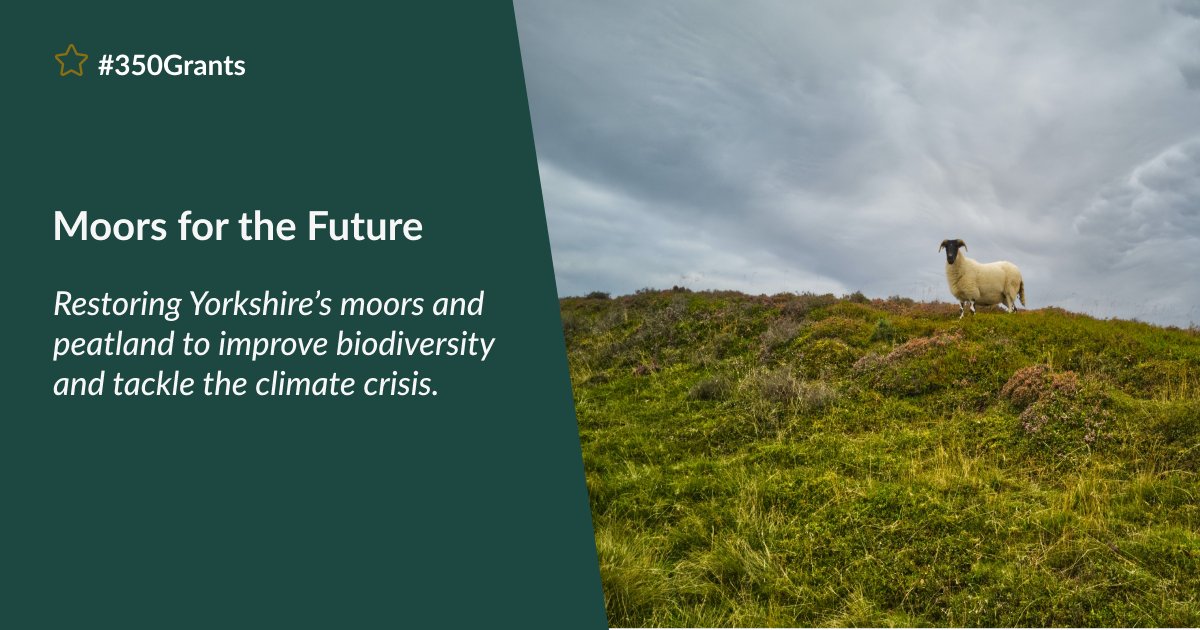 Peat ecosystems are excellent carbon sinks, which makes them vital in the fight against #ClimateChange. <a href="/moorsforfuture/">Moors for the Future</a> is returning the scarred Yorkshire peatlands to their former glory and has received a ‘350 grant’. Learn more here: bit.ly/3AFb8L7 
#350years