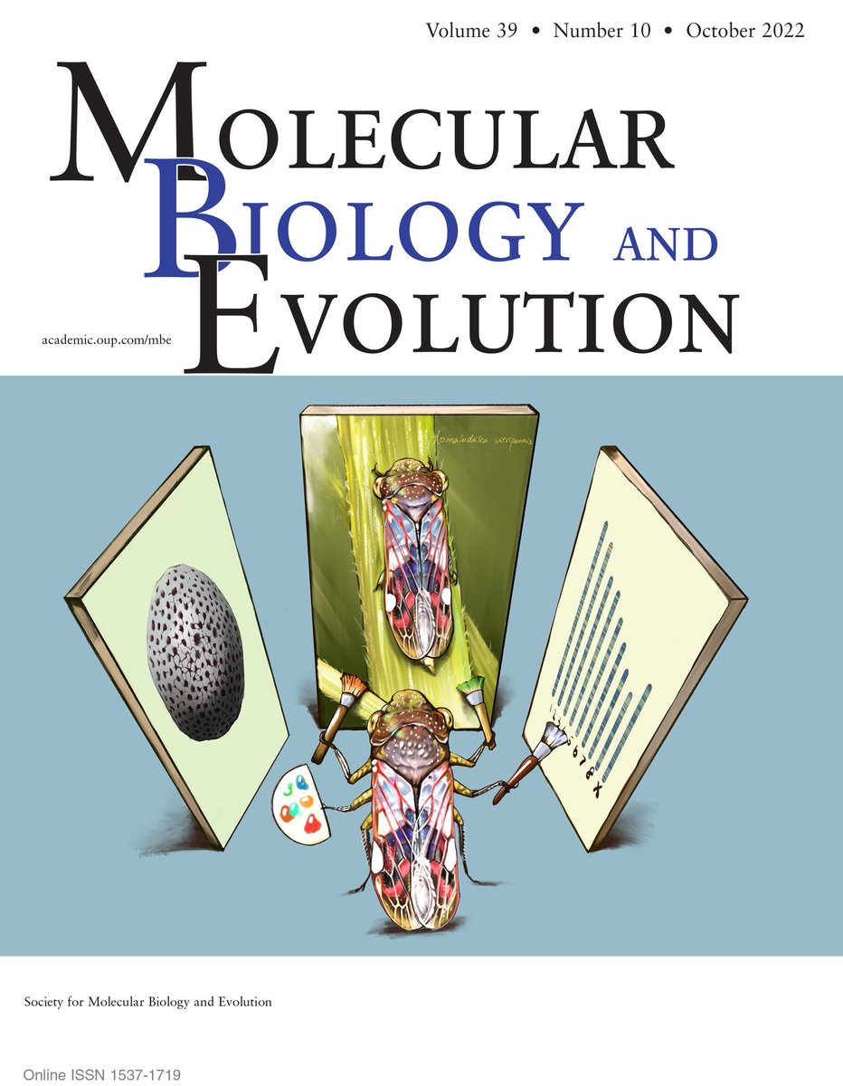 Wonderful to see our Glassy-Winged Sharpshooter and brochosome on the cover of @MolBioEvol ! A really fun project with @NancyMoran15 @barricklab @yy_yiyuan_li @vyqtdang Allen Xue, Renee Holmes and Spencer Johnston! Also thanks to our talented artist Jason Zhu for this drawing!