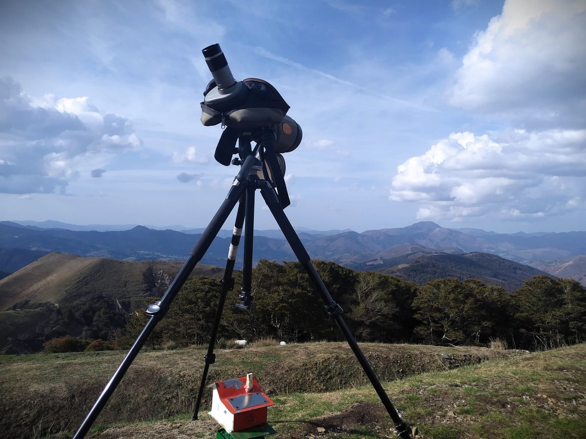 Continúa el estudio de la #migración postnupcial de las #aves a través de la vía atlántica. Proyecto #Lindus. En Auritz-Burguete #pirineo navarro.  Sin duda uno de los mejores lugares para aprender a identificar aves en Europa. @GanNavarra <a href="/SMBC/">Smithsonian Migratory Bird Center</a> <a href="/BirdingLindus/">Bird watching LINDUS</a> <a href="/VisitNavarra/">Visit Navarra</a>