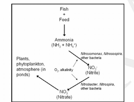 scestari.cntq tweet media