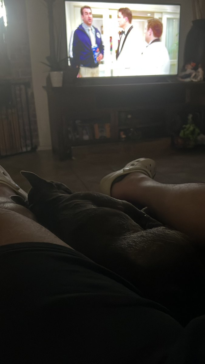 IceColdPapiiTTV's tweet photo. Goodmorning🖤 #frenchie #love #goodmorning https://t.co/rSSkOj5ChN