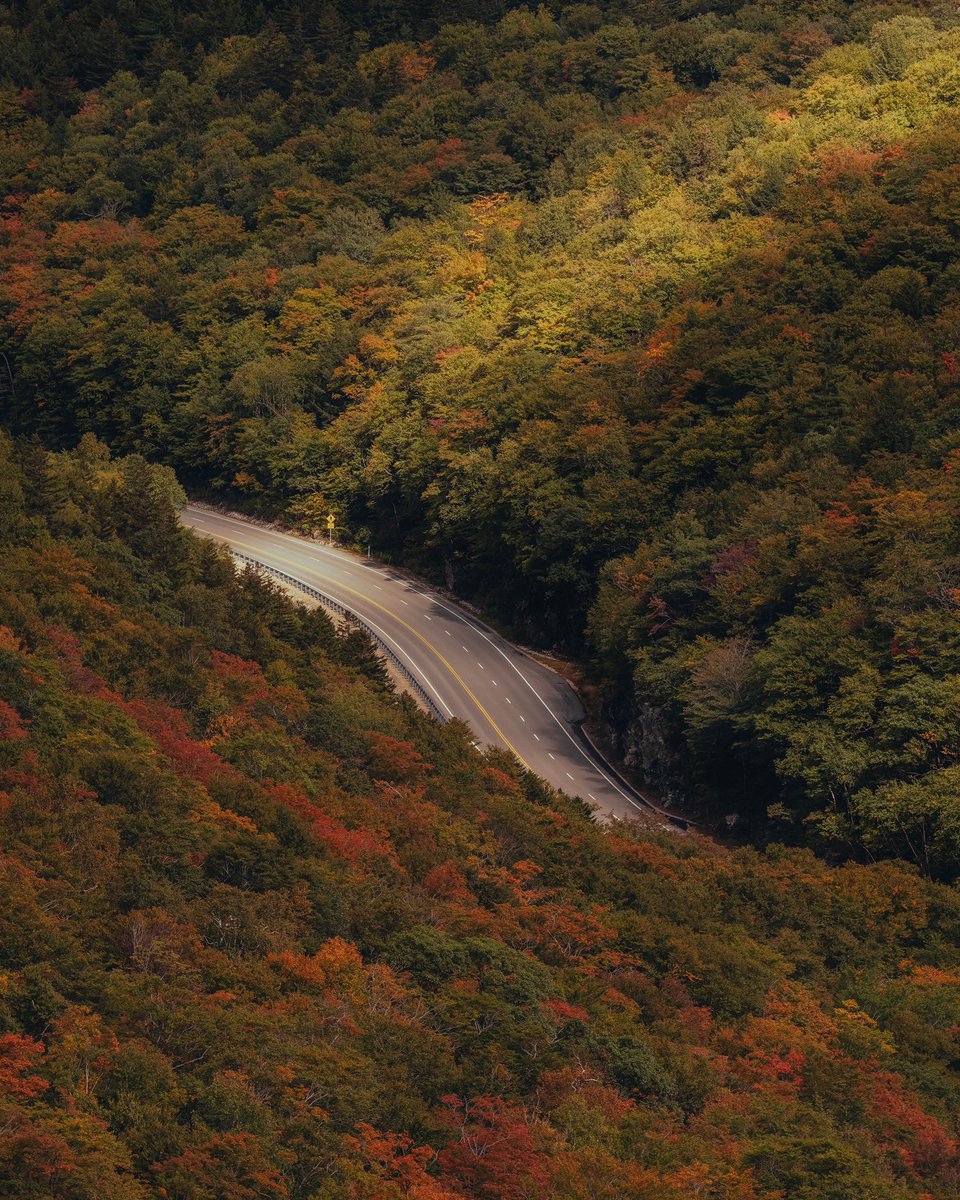 marcostravers's tweet photo. GM 🍁🍂

Fall in New Hampshire does not disappoint! https://t.co/Q4UdBTz98I