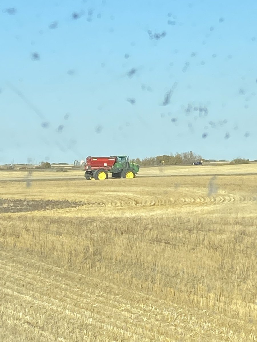 mike beckie tweet media