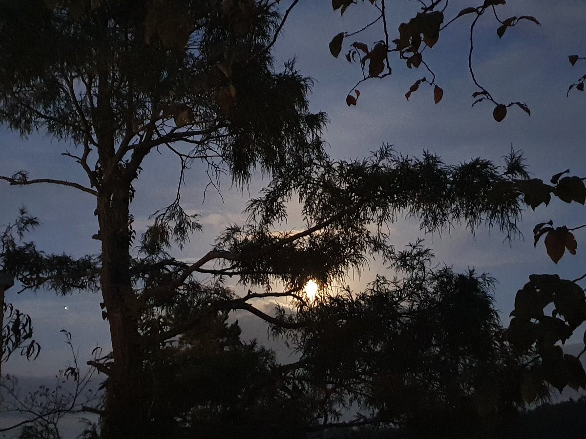 Barbora 🇺🇦 tweet media