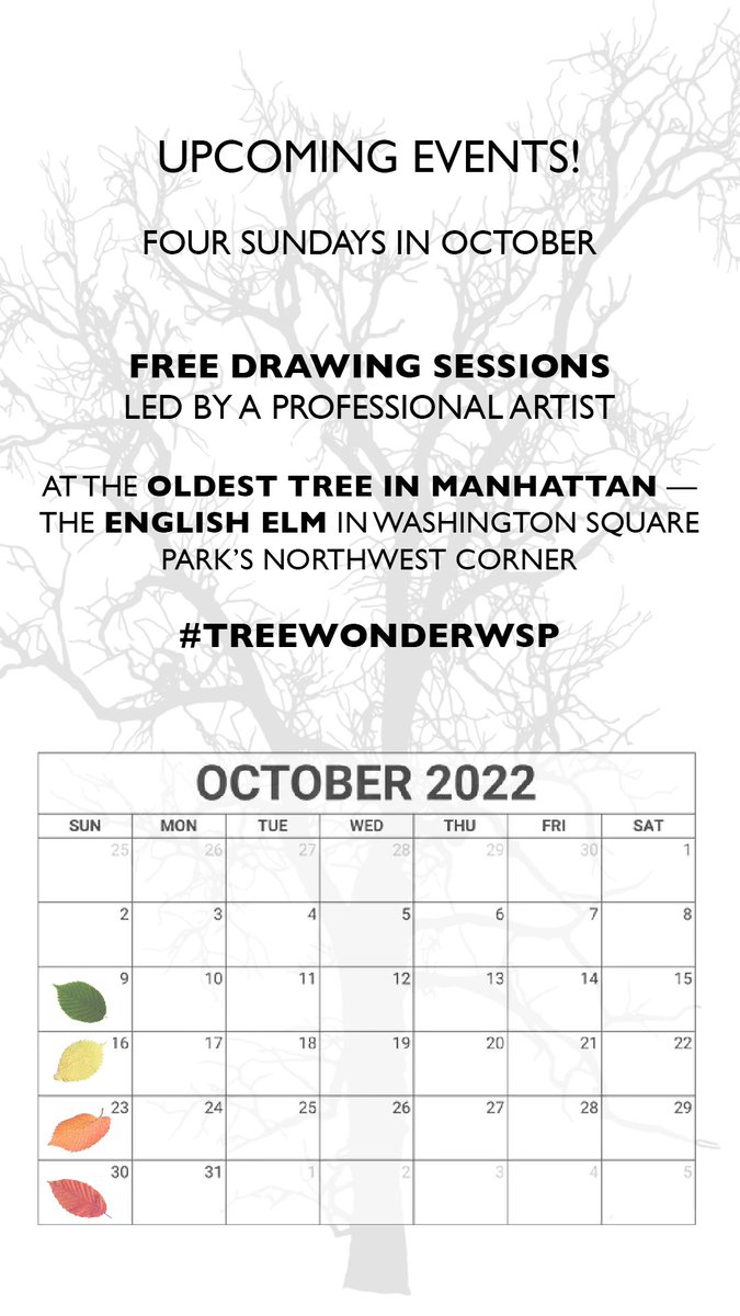 WSPEcoProjects's tweet photo. Awe and draw! The #TreeWonderInitiative returns to #WashingtonSquarePark. Join us on Sundays in October 11-12:30 to observe &amp; sketch the English Elm in the northwest corner park. #DidYouKnow, the elm is the oldest tree in Manhattan? The event is free and no registration required. https://t.co/tf5O60L5Zw
