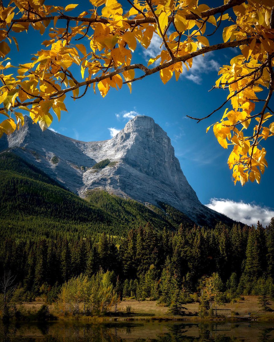 Fall is in full swing in the Canadian Rockies. Here are some of our favourite ways to enjoy the warm days and crisp nights in Canmore and Kananaskis: bit.ly/3RkLLns 

📸 IG: isolatedpeakphotography, andreabeiko | #ExploreCanmore #ExploreKananaskis