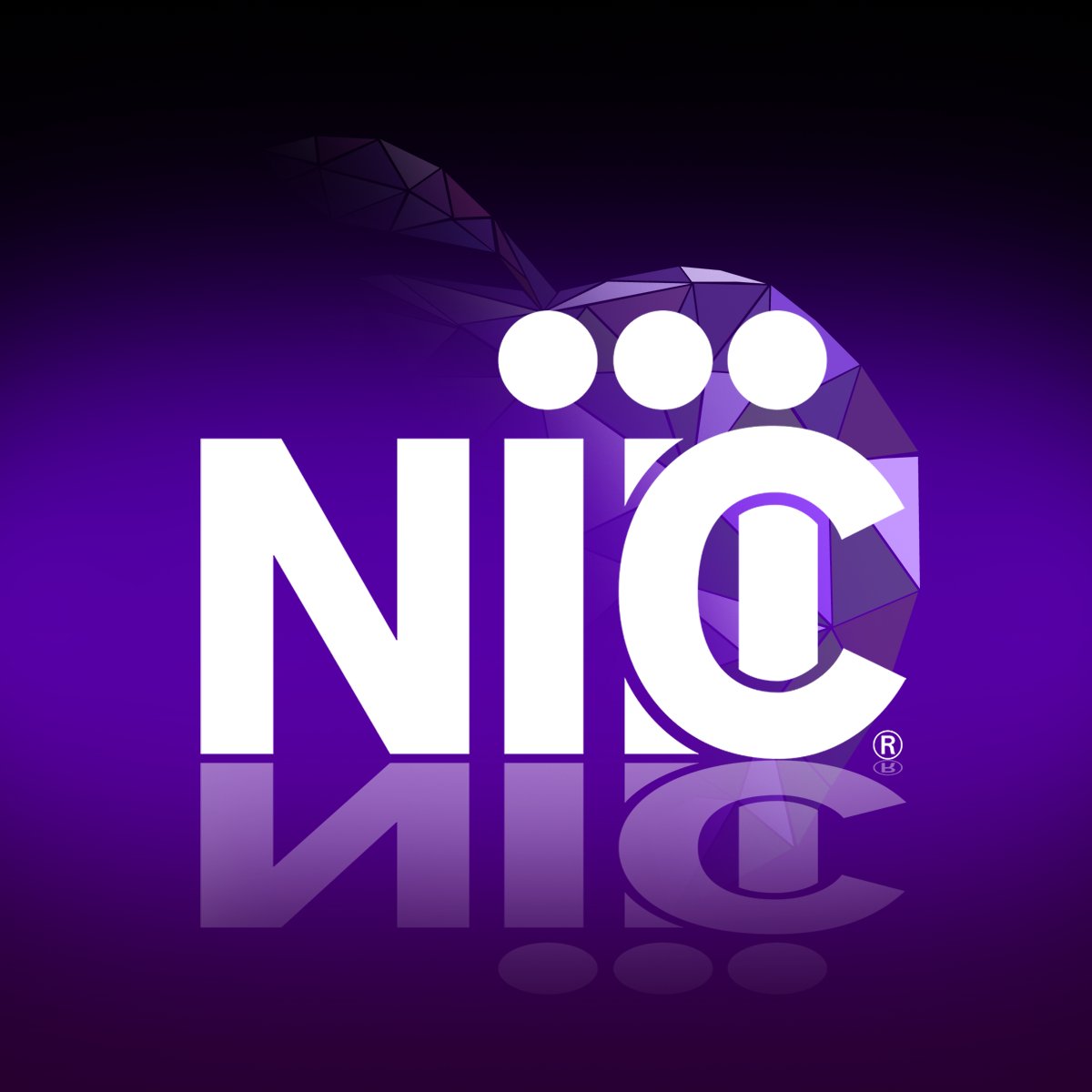 hackkstate's tweet image. Thank you to NIC for being our first official partner for Hack K-State 2022!!!🥳
Visit them at egov.com today.
.
*P.S. Hack K-State is 35 days away!*
#hackkstate #hackathon #MLH @EGOV