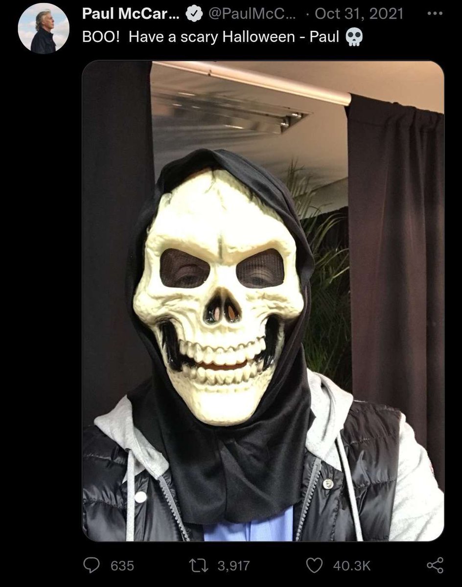 spooky season is in session