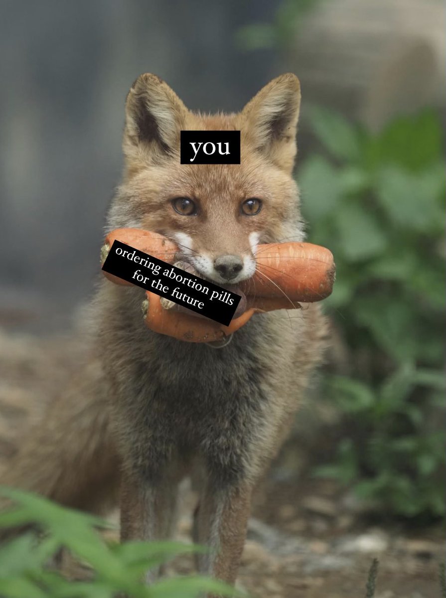 Feminist Flag Corps tweet media