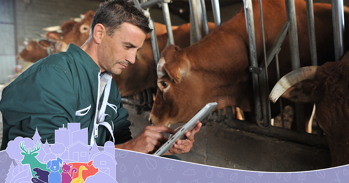 Sask Vets tweet media