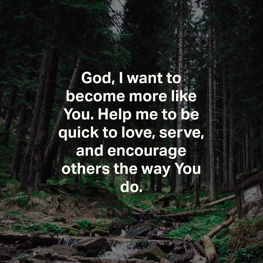 YouVersion Bible App tweet media